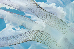 "tentacles"
Tentacles of a luminescent jellyfish (Pelagi... by Roland Bach 